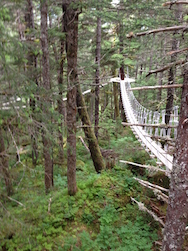 Swing Bridge